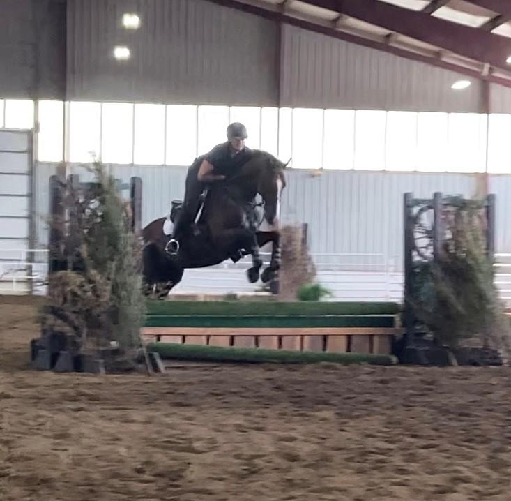 Erin Knehr, Cavalry Charge, Calvin, Retired Racehorse Project Thoroughbred Makeover
